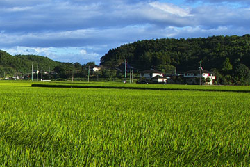 農地を売買・賃貸するとき